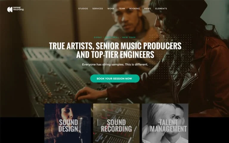 Studio WordPress theme preview