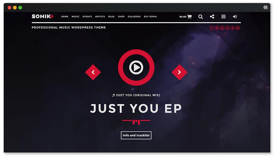 14 Best WordPress Themes for Record Labels 2022