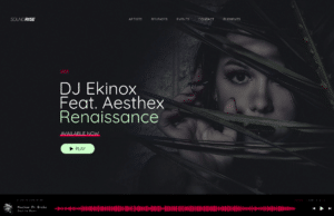 Soundrise - Best WordPress Themes for Record Labels