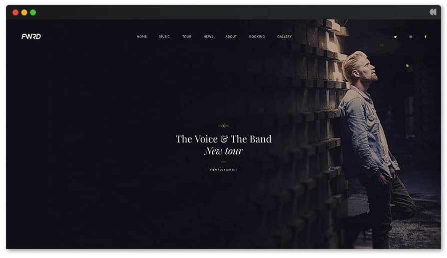 The Voice Singer WordPress theme