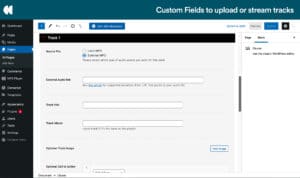 Custom Fields to upload track and stream media