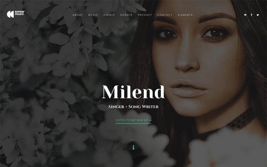 WordPress themes for artists