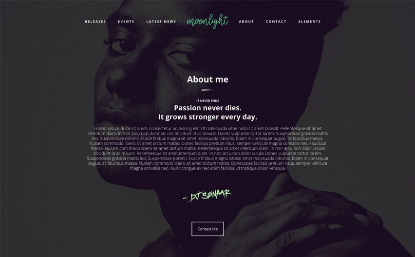 WordPress Theme for Artists