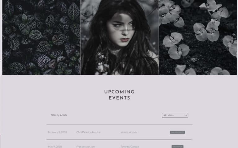 Best Responsive WordPress Theme for Musician